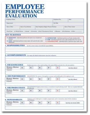 Empl. Performance Evaluation Imp.