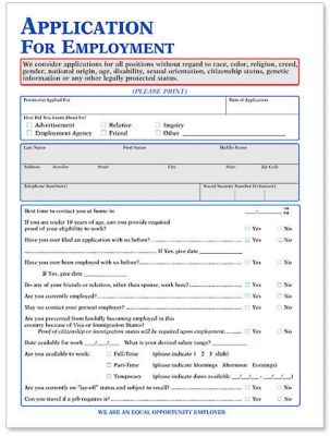 Employment Application Felony