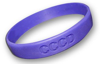 Silicone Wristband-Express