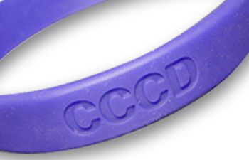 Silicone Wristband-Express