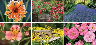 Garden Splendor Wall Cal.-Spiral