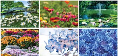 Garden Splendor Wall Cal.-Spiral