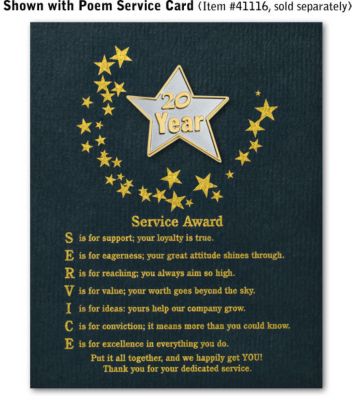Star Service Award Pin - 20 Yr
