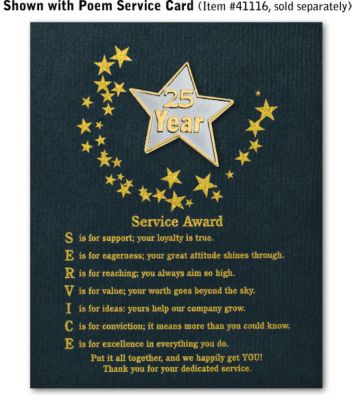 Star Service Award Pin - 25 Yr