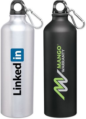 H2go® Aluminum Classic Bottle 24 Oz