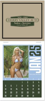 Swimsuit Stick Up Calendar