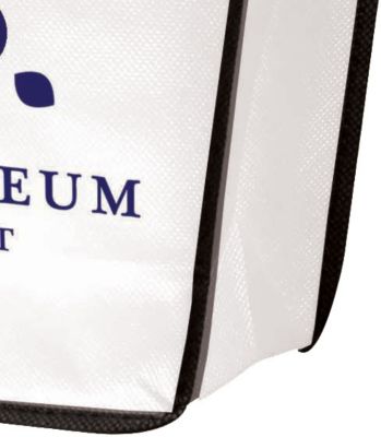 Trapezoid Tote