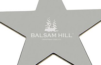 Silver Star Ornament