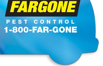 Van Magnet Full Color Print