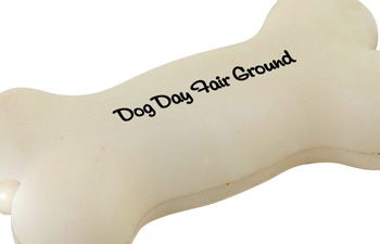 Light Up Dog Bone Key Chain