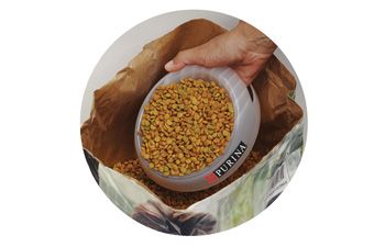 Medium Scoop It Pet Bowl