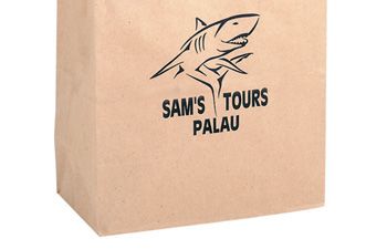 Matte Finish Paper Bag 16