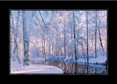 Holiday Scene Holiday Card