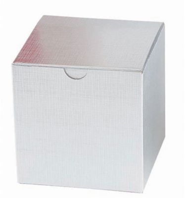 Silver Mug Gift Box - 11Oz