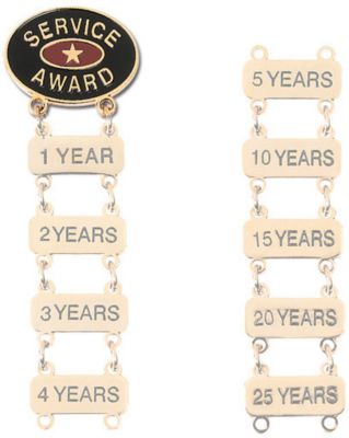 Service Award Pin
