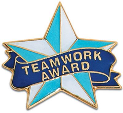 Teamwork Award - Blue/White Star