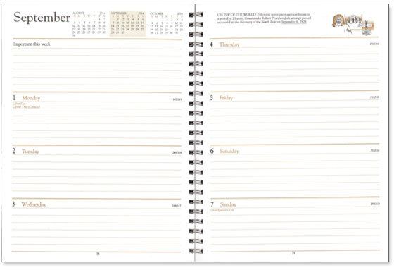 REFILL-- WEEKLY DESK DIARY (DW) 3