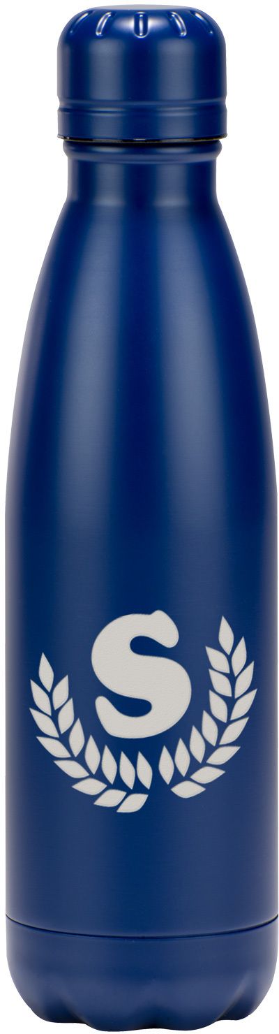 VOYAGER STAINLESS STEEL BOTTLE 17 OZ 6