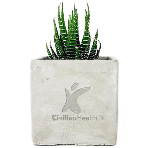 Desk Plant Mini Parker Line