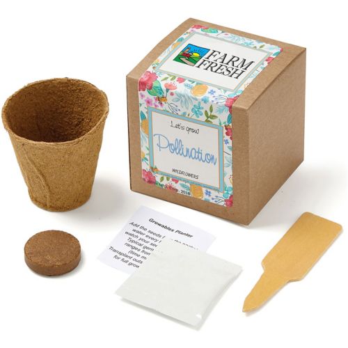 Wildflower Growables Planter In Kraft Gift Box