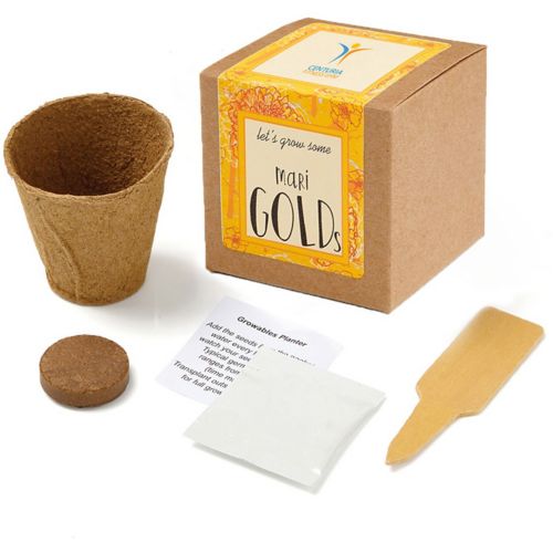 Marigold Growables Planter In Kraft Gift Box