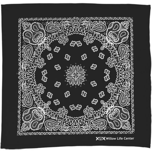 Paisley Pattern Bandana 22 Inch