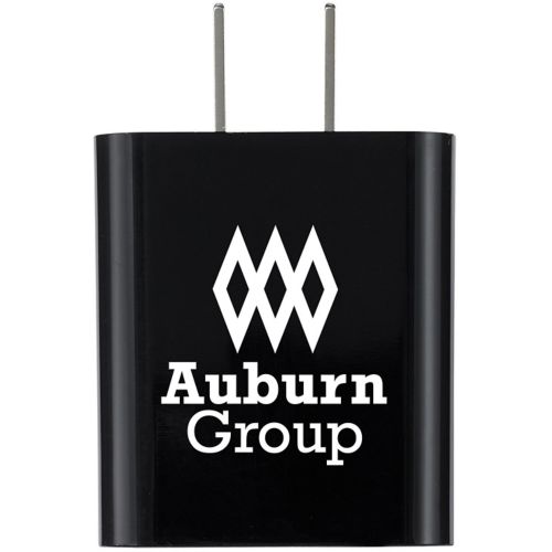 Leeman 20W Dual Wall Adapter