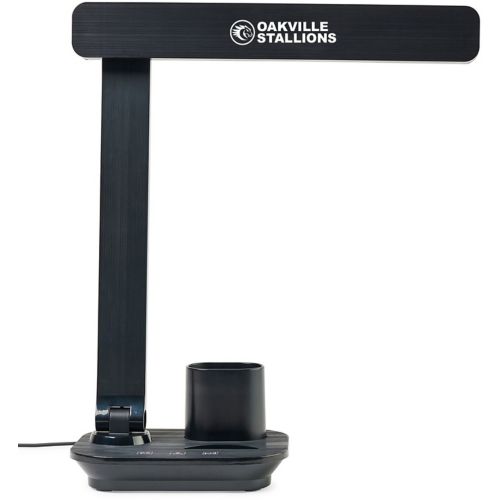 Modern Office Desk Lamp