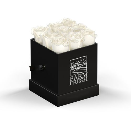 Classique By Vef Le Mini? Square