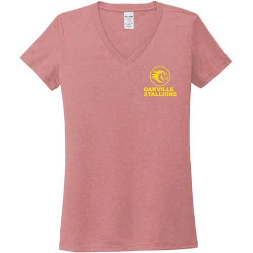 Allmade® Womens Tri-Blend V-Neck Tee