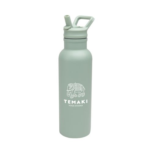 Hailey Recycled Stainless Bottle 17 oz