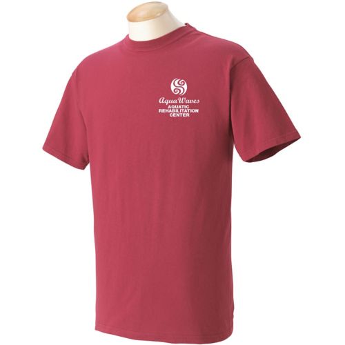 Comfort Colors Adult Heavyweight T-Shirt