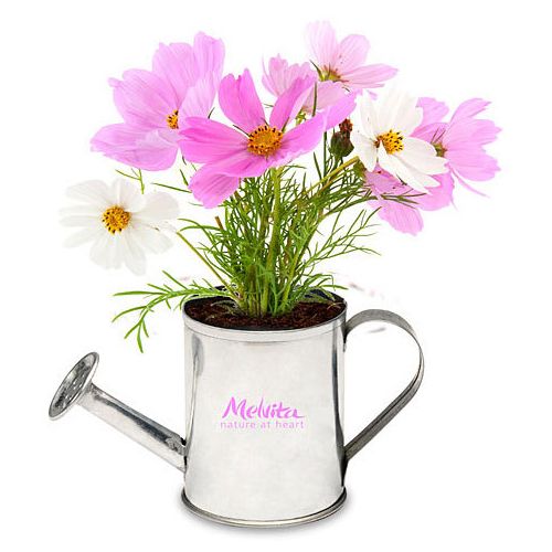 Watering Can Planter Kit