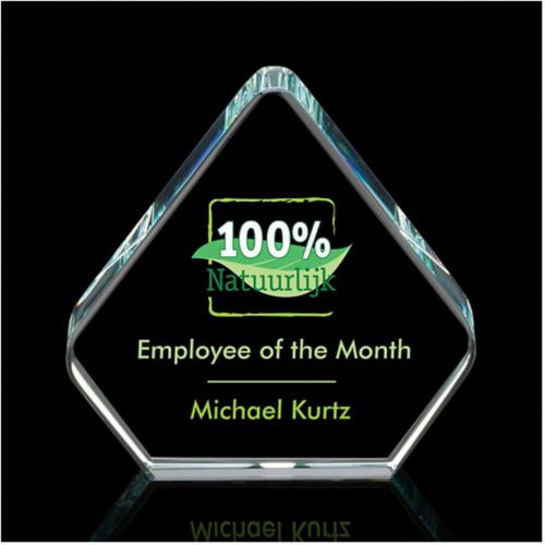 Gersham Award Full Color Vivid Print