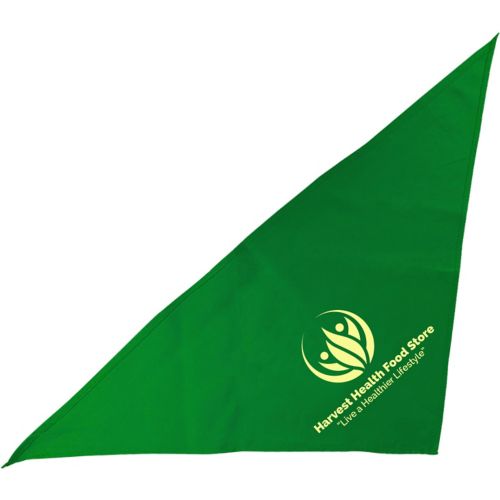 Large Triangle Bandana