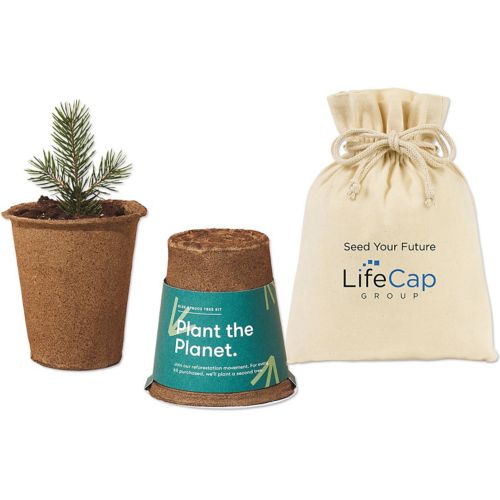 Modern Sprout Tree Kits