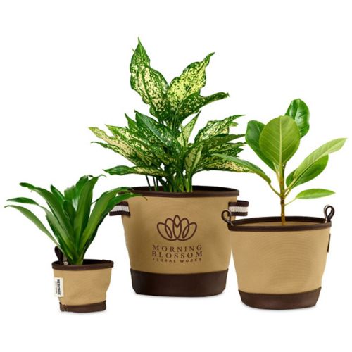 Heritage Supply Plant, Grow And Store Trio Of Pot