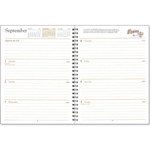 Refill-- Weekly Desk Diary (Dw)