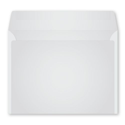 Monthly Monitor Envelope