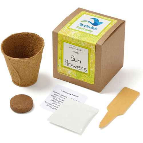 Sunflowers Growables Planter In Kraft Gift Box