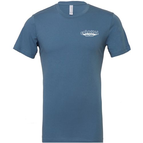Bella + Canvas Unisex Jersey T-Shirt