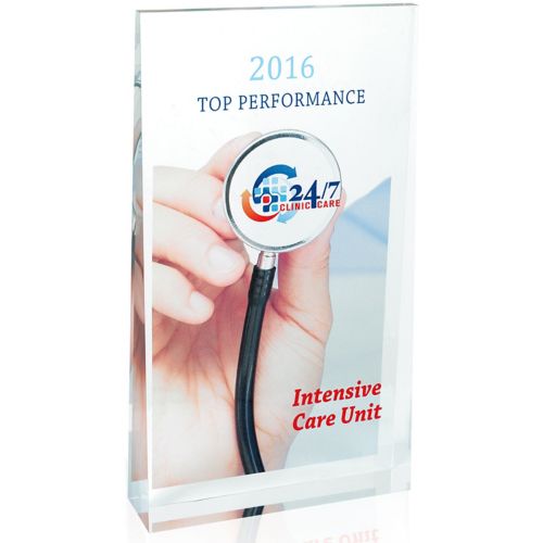 Full Colour Large Acrylic Wedge Award