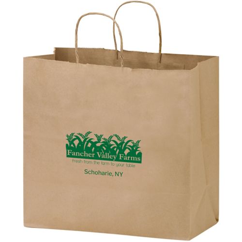 Natural Kraft Paper Take-Out Bag With Twist Handle