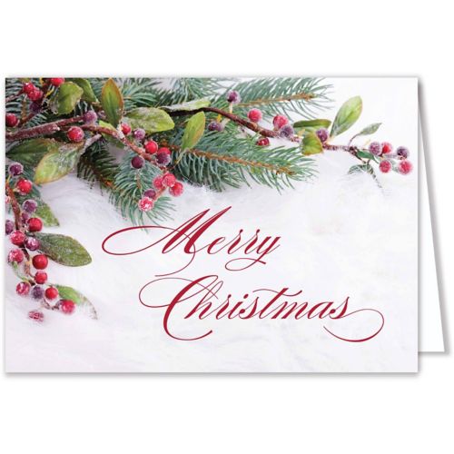 Frosted Beauty Holiday Card