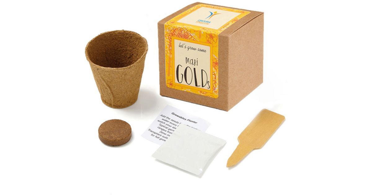 Marigold Growables Planter In Kraft Gift Box | Taylor Promo Marketing