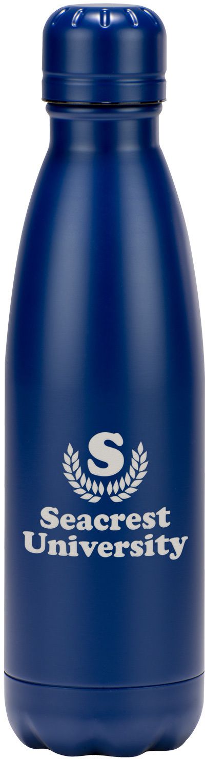 VOYAGER STAINLESS STEEL BOTTLE 17 OZ 2