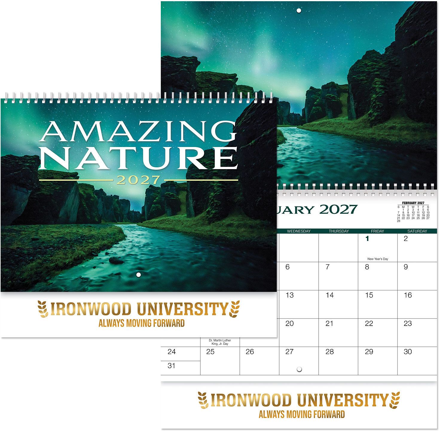 AMAZING NATURE SPIRAL WALL CALENDAR 2