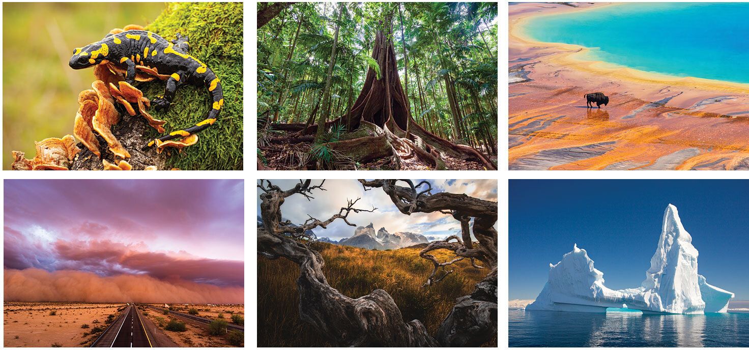 AMAZING NATURE SPIRAL WALL CALENDAR 14