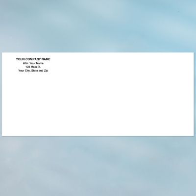 Custom Office Supplies: #10 Regular Envelope