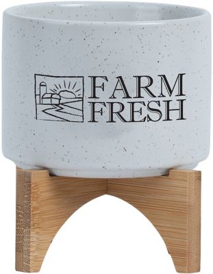 Cozy Home Promotional Products: Eco-Friendly Saratoga Ceramic Flower Pot